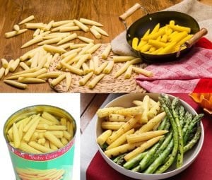 Süt mısır tohumu atalık mini baby corn