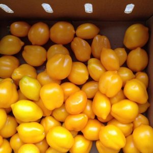Sarı limon domates tohumu geleneksel heirloom plum lemon tomato