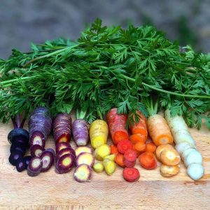 Rainbow blend mixed Gökkuşağı havuç tohumu carrot