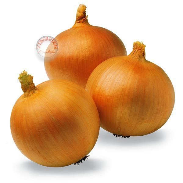 Tatlı ispanyol soğan tohumu geleneksel onion sweet spanish yellow