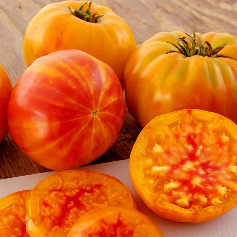 Gökkuşağı domates tohumu geleneksel heirloom big rainbow tomato seeds