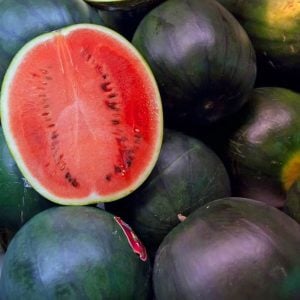 Siyah elmas karpuz tohumu geleneksel watermelon black diamond