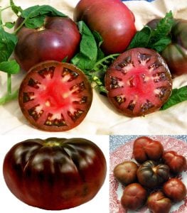 Siyah domates brandywine tohumu geleneksel heirloom brandywine black tomato seeds