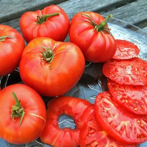 Brandywine domates tohumu geleneksel heirloom brandywine red tomato seeds