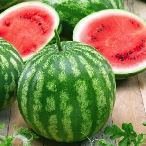 Kaliforniya kan karpuzu tohumu geleneksel watermelon crimson sweet