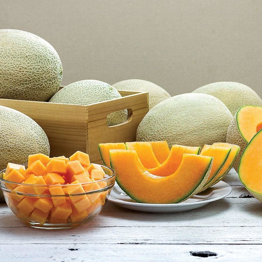 Top kavun tohumu cantaloupe melon top mark