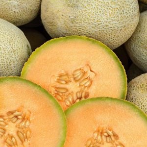 Top kavun tohumu cantaloupe melon top mark