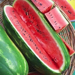 Jübile karpuz tohumu geleneksel jubilee watermelon seeds