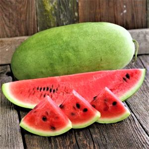 Çarliston bahçe karpuzu tohumu charleston gray watermelon seeds