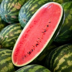 Kongo karpuz tohumu en tatlı karpuz congo watermelon seeds