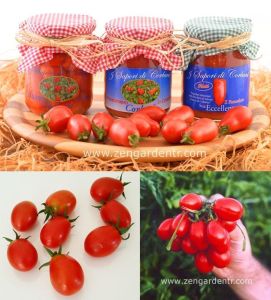 Kırmızı üzüm corbarino domates tohumu geleneksel