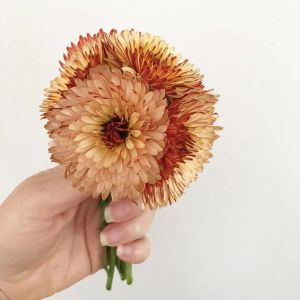 Orange Flash şeftali calendula aynısafa çiçeği tohumu