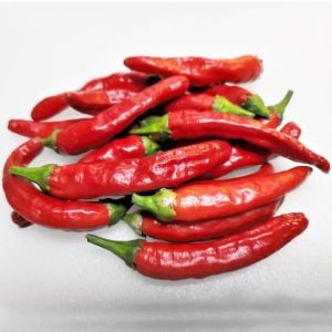 Onza acı biber tohumu capsicum annuum