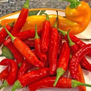 Onza acı biber tohumu capsicum annuum