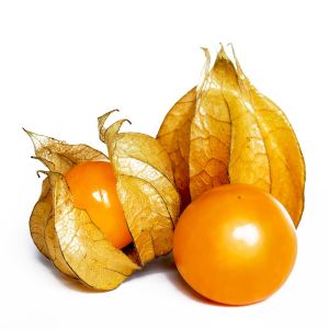 Altın çilek fidesi Goldvital physalis peruviana