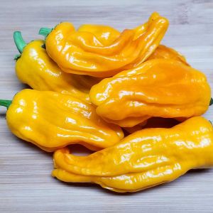 Pepperoncini Turuncu acı chili biberi tohumu