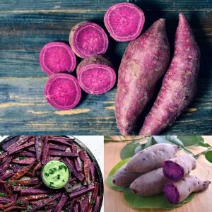 Tatlı patates fidesi mor meyveli erato violet sweet potato