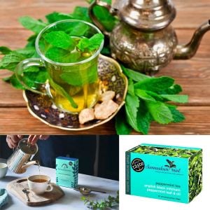 Black Mithcham yağlık nane fidesi mentha piperita