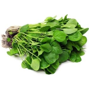 Su teresi tohumu watercress nasturtium officinale