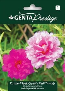 Katmerli ipek çiçeği tohumu kedi tırnağı Genta portulaca grandiflora