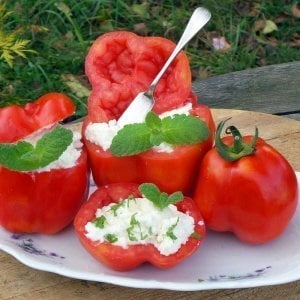 Dolmalık domates tohumu geleneksel red stuffer