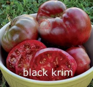 Siyah domates tohumu üç çeşit bir arada set