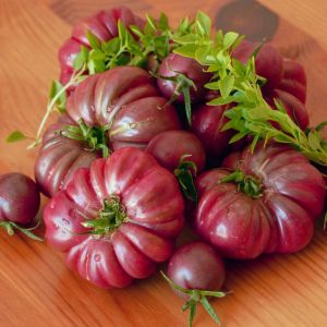 Mor kalabash domates tohumu doğal purple calabash tomato seeds