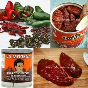 Chipotle jalapeno tohumu acı biber geleneksel