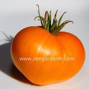 Turuncu çilek domates tohumu german strawberry tomato