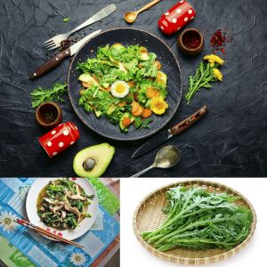 Chop suey tohumu salad shungiku yenilebilir yaprak ve çiçekler