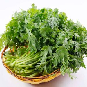 Chop suey tohumu salad shungiku yenilebilir yaprak ve çiçekler