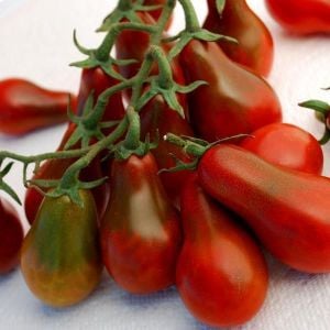 Siyah armut domates tohumu chocolate pear tomato geleneksel