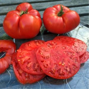Dev ponderosa kırmızı domates tohumu ince kabuklu ponderosa red beefsteak heirloom tomato