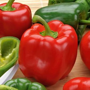 Kırmızı yeşil dolma biber tohumu yolo wonder bell pepper