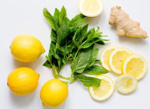 Limonlu nane fidesi mentha gentilis lemon