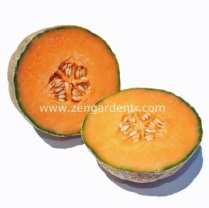 Şekerküpü kavun tohumu geleneksel honey rock melon seeds