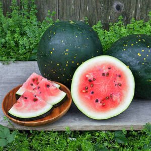 Moon and stars karpuz tohumu geleneksel heirloom watermelon seeds