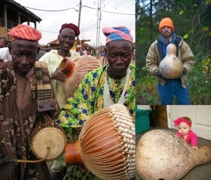 Afrika dev sukabağı tohumu African Wine kettle gourd