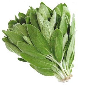 Mutfak adaçayı tohumu şifalı aromatik salvia officinalis