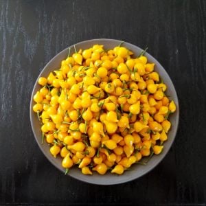 Sarı Biquinho biber tohumu