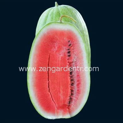 Ali baba karpuz tohumu geleneksel watermelon alibaba