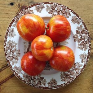 Kırmızı Zebra Atalık domates tohumu geleneksel lezzet