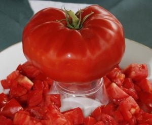 Atalık İtalyan dev domates tohumu söğüşlük