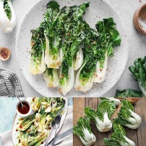 Pak choi tohumu beyaz mini pak çoy minyatür boy