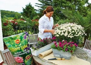 Compo Sana tüm balkon ve saksı bitkileri için özel toprak 40 litre