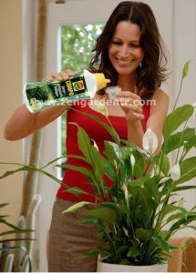 Compo salon bitkileri sıvı bitki besini konsantre 1 litre