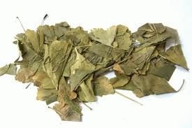 Ginkgo Biloba Yaprağı Çayı Orjinal Ürün