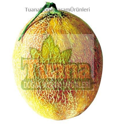 Ananas Kavun Tohumu - 100 adet
