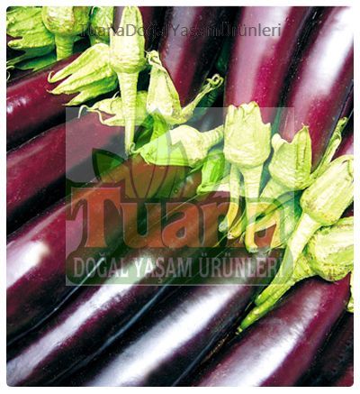 Kemer Patlıcan Tohumu - 100 adet