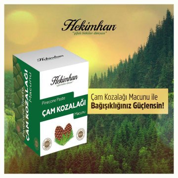 Hekimhan Çam Kozalağı Macunu 240 Gr